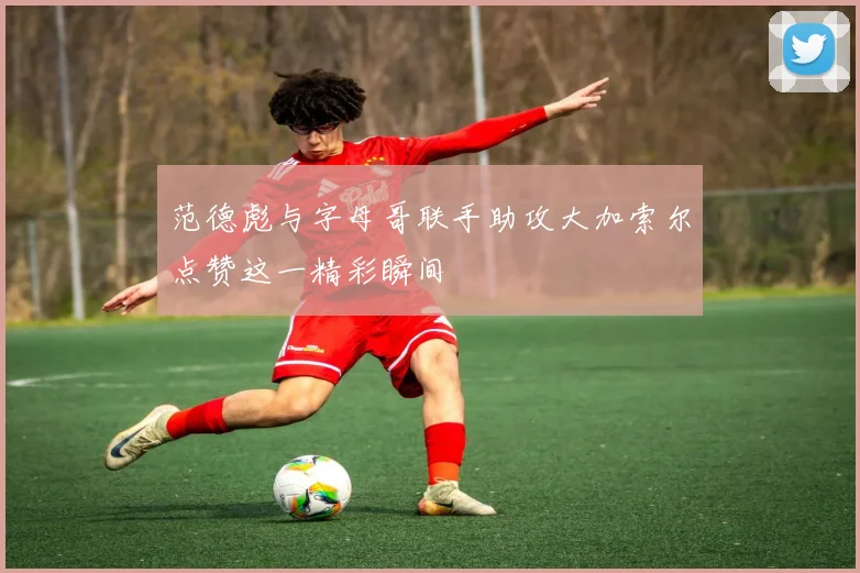 范德彪与字母哥联手助攻大加索尔点赞这一精彩瞬间