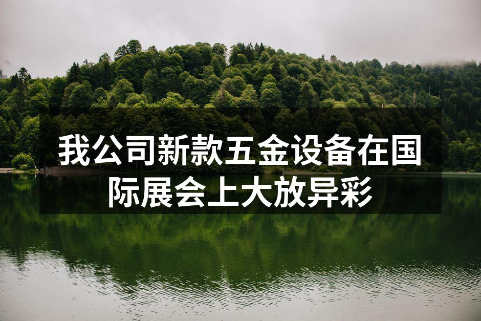 我公司展位吸引众多参观者